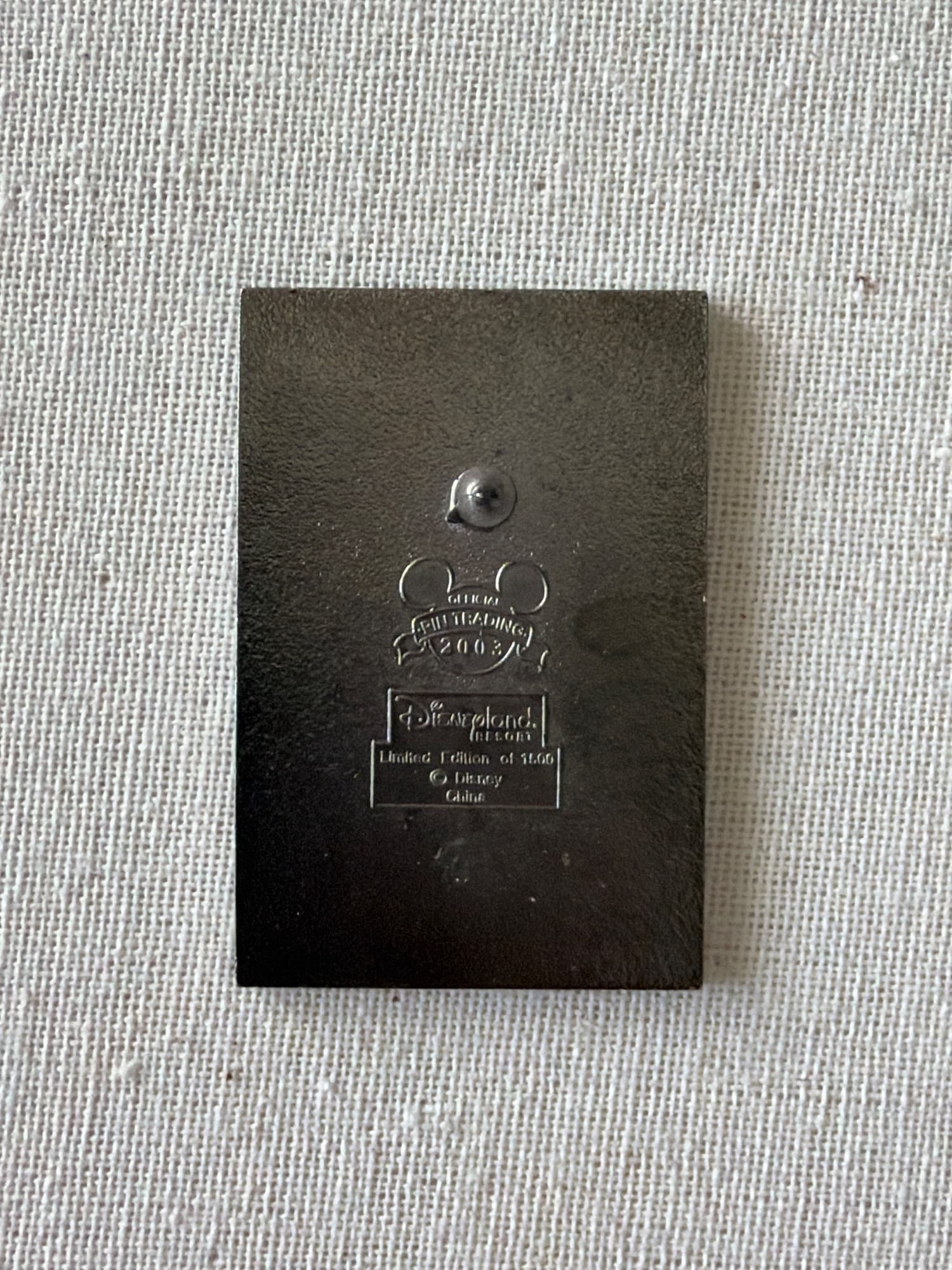 DLR Space Station X-1 Poster Pin, the back