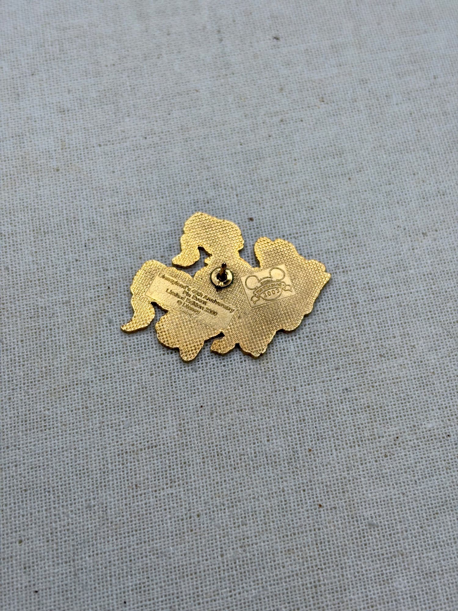 DLR 48th Anniversary Nephews Pin, the back