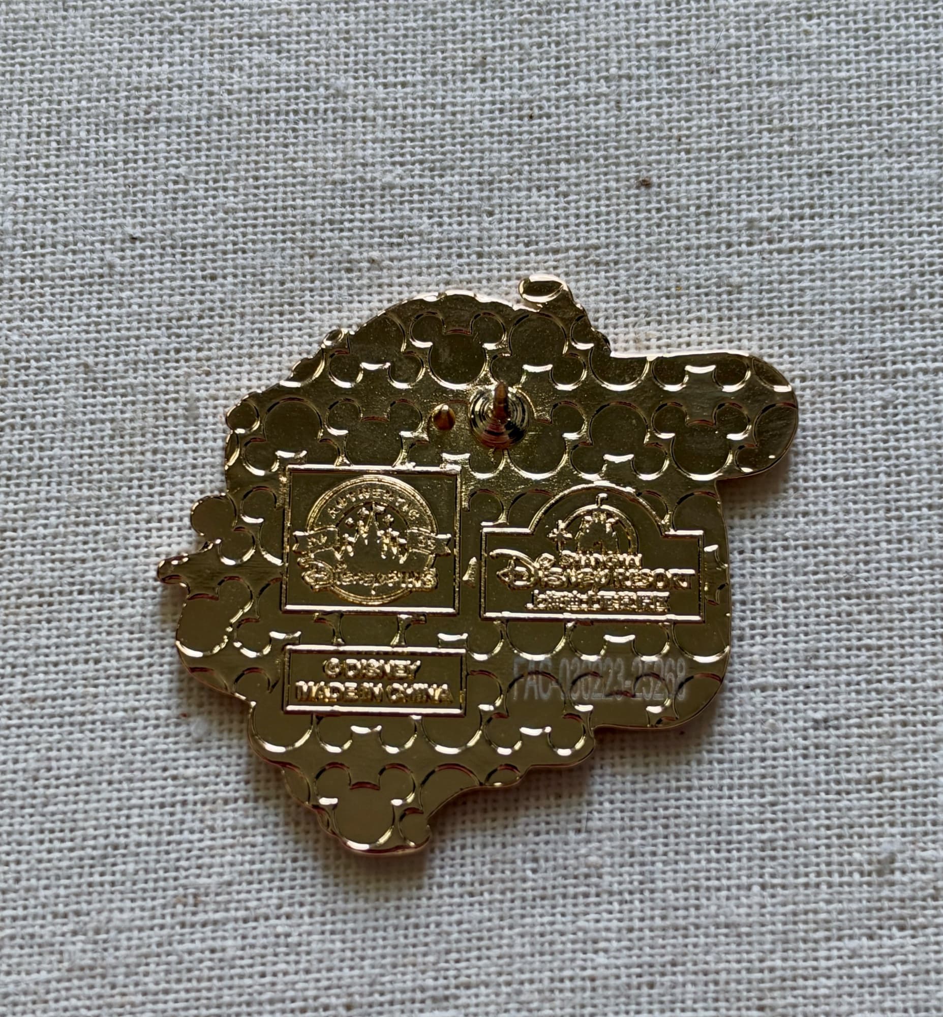 SHDL Genie/Magic Carpet, the back