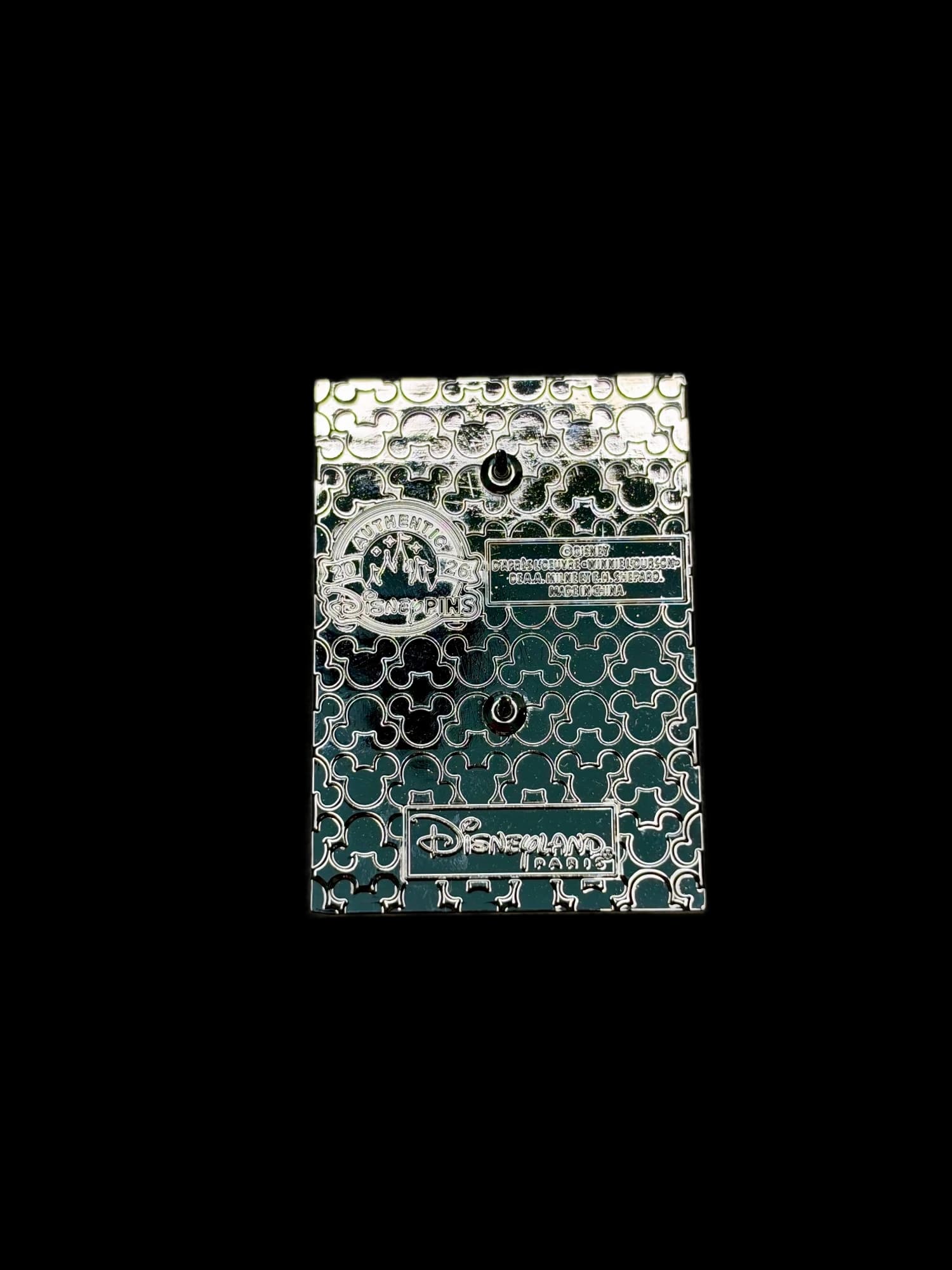 DLP Pooh & Friends Polaroid Pin, the back