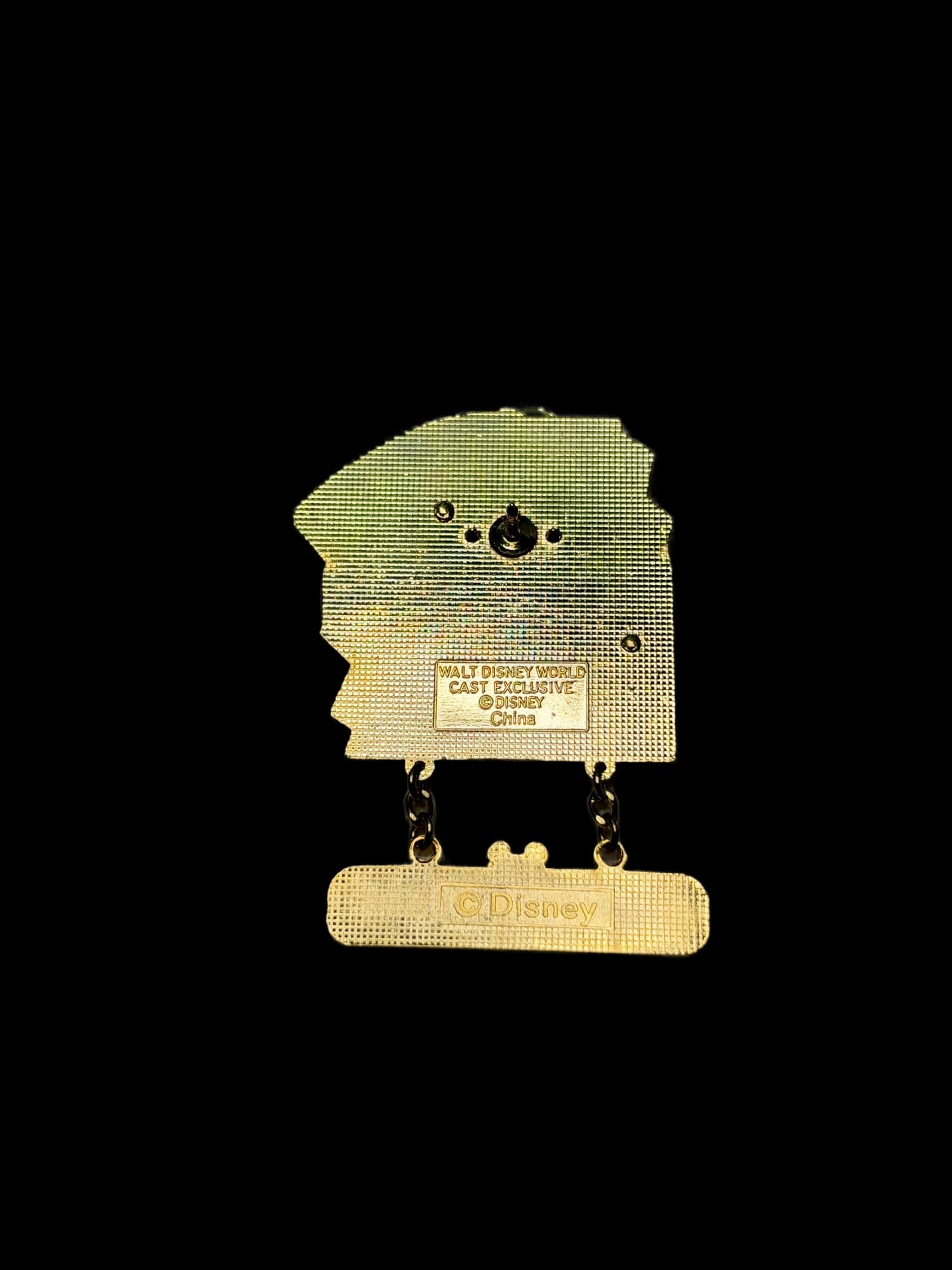 VTG Disney Salutes Cast Exclusive Pin - Attractions, the back