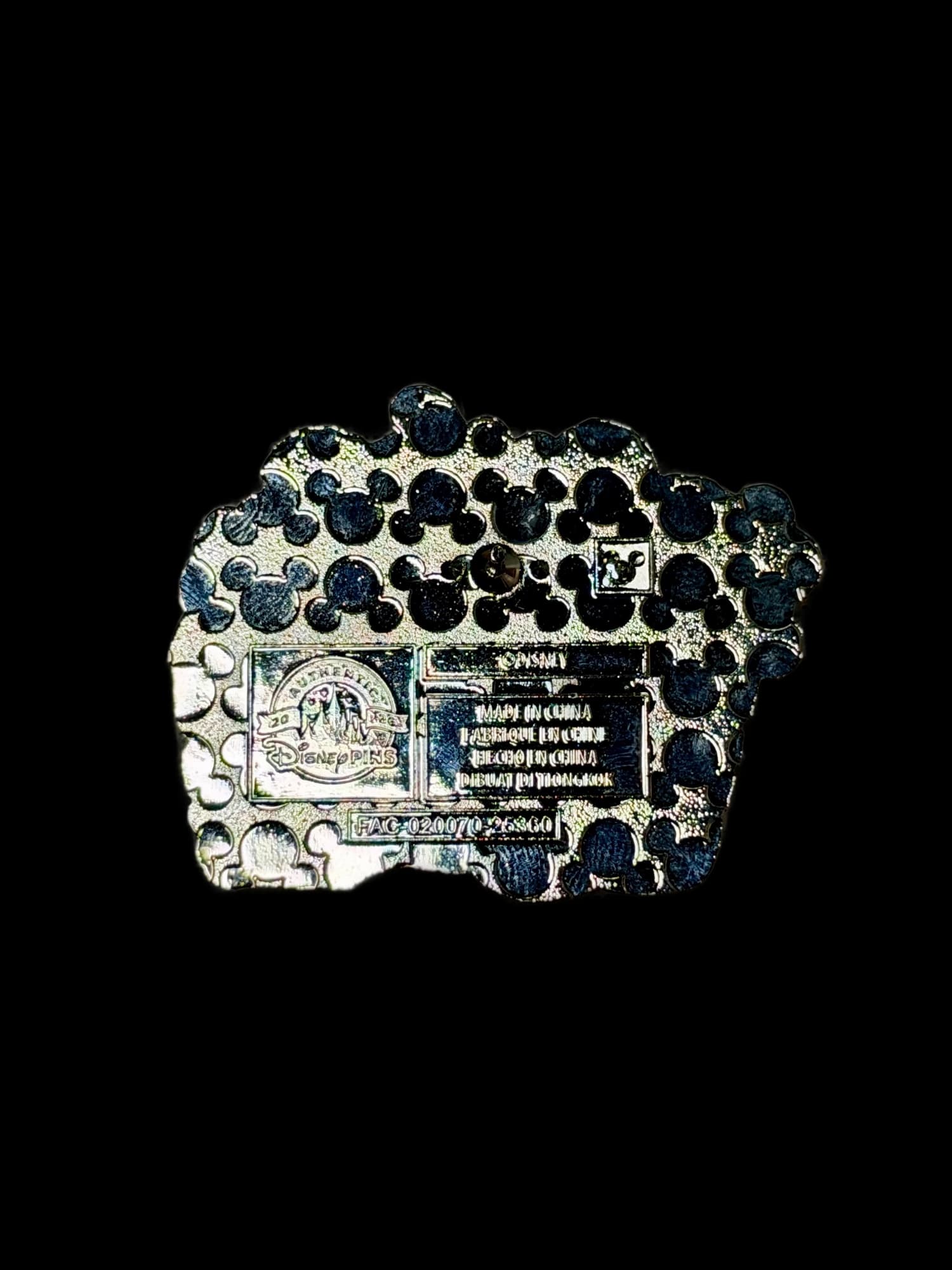 Animal Kingdom Lodge Pin, the back