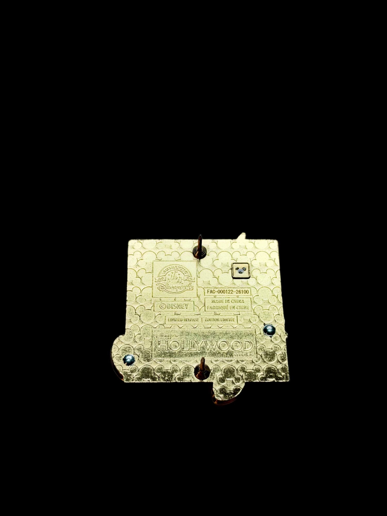 Magic of Animation Courtyard Pin LR, the back